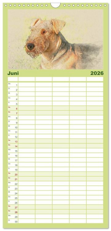 Produktbild: Familienplaner 2026 - Airedale Terrier 2026 mit 5 Spalten (Wandkalender, 21 x 45 cm) CALVENDO