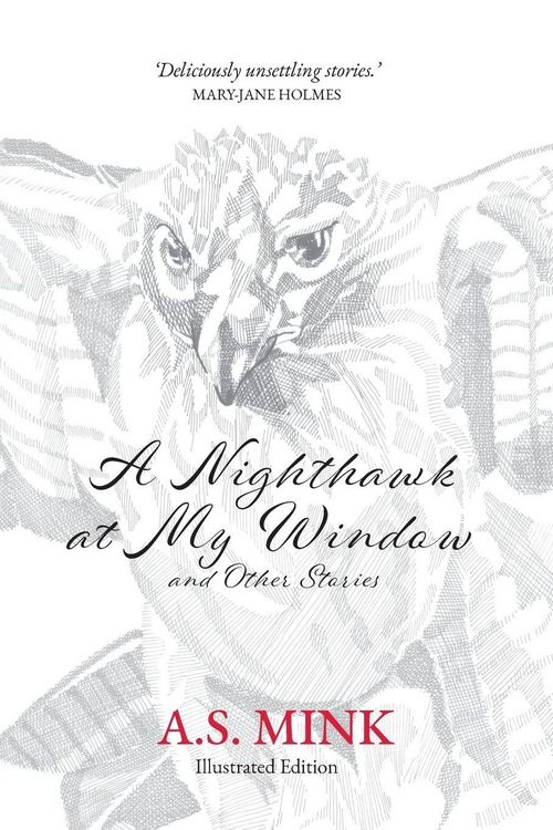 Produktbild: A Nighthawk at My Window and Other Stories (Illustrated Edition)
