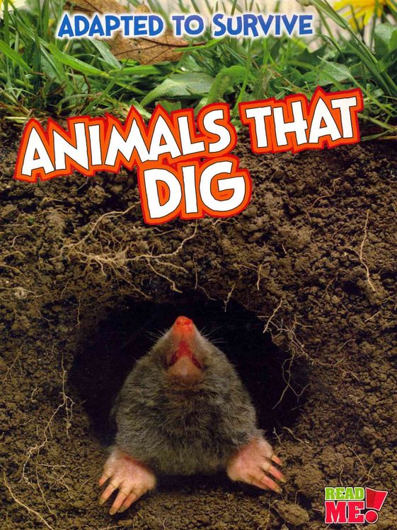 Produktbild: Animals That Dig