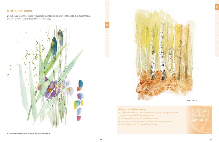 Produktbild: Schnelles Wissen in 30 Minuten - Aquarell malen