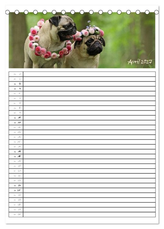 Produktbild: Der mopsige Familienplaner (Tischkalender 2027 DIN A5 hoch), CALVENDO Monatskalender