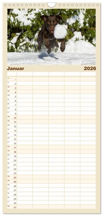 Produktbild: Familienplaner 2026 - Labrador Retriever - Freunde f&uuml;r&acute;s Leben mit 5 Spalten (Wandkalender, 21 x 45 cm) CALVENDO