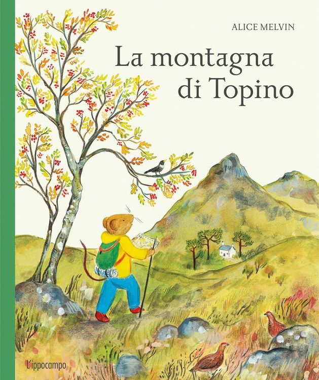 Produktbild: La montagna di Topino