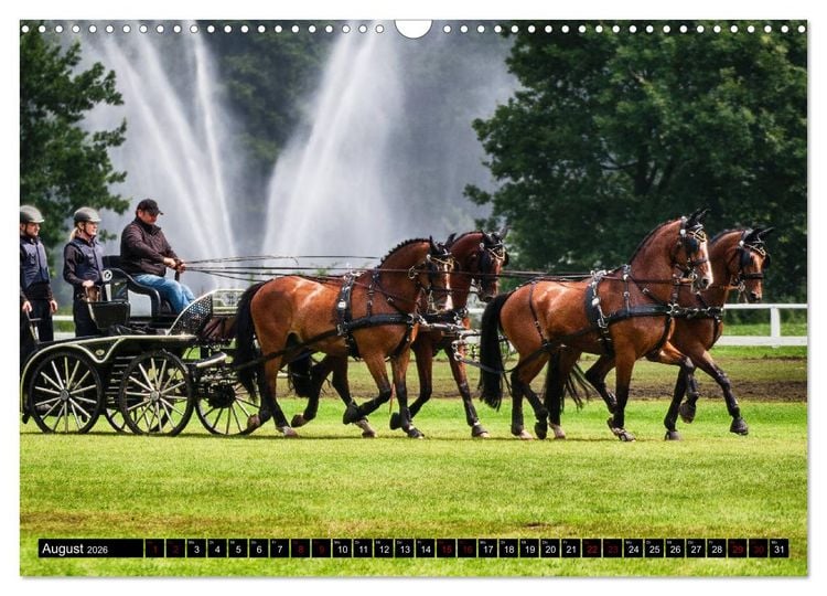 Produktbild: Fahrpferde in Aktion (Wandkalender 2026 DIN A3 quer), CALVENDO Monatskalender