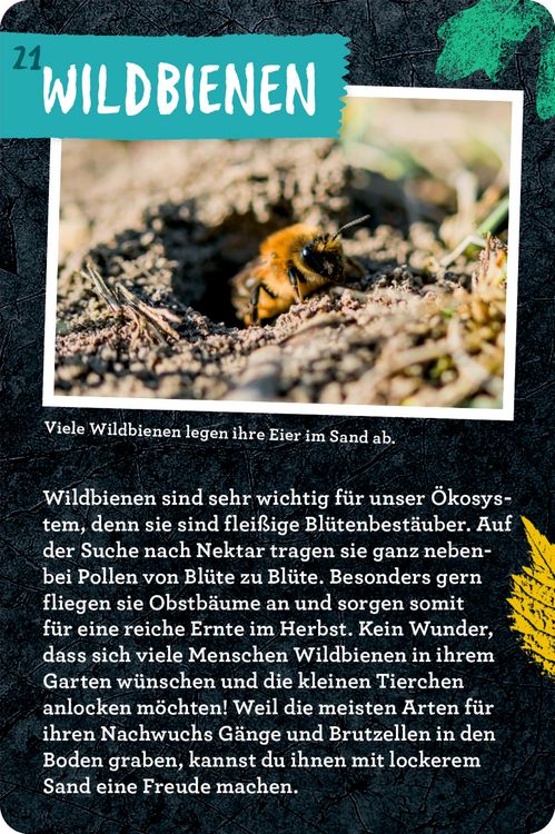 Produktbild: 50 Garten-Projekte - Nature Zoom (Blechdose)