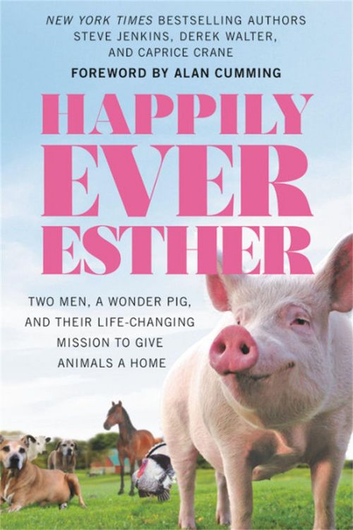Produktbild: Happily Ever Esther