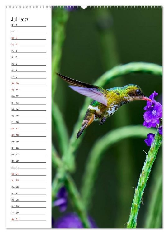 Produktbild: Costa Rica - Magische Tiere des Regenwaldes (hochwertiger Premium Wandkalender 2027 DIN A2 hoch), Kunstdruck in Hochglanz