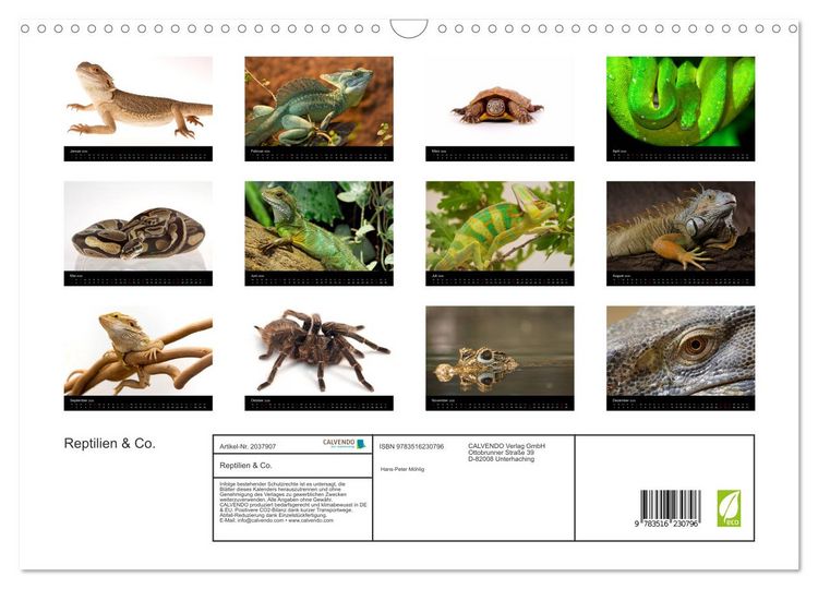 Produktbild: Reptilien & Co. (Wandkalender 2026 DIN A3 quer), CALVENDO Monatskalender