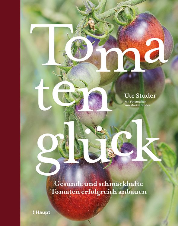 Produktbild: Tomatengl&uuml;ck