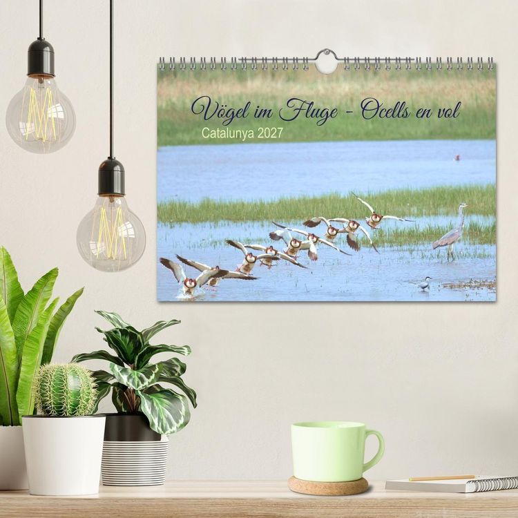 Produktbild: V&ouml;gel im Fluge - Ocells en vol (Wandkalender 2027 DIN A4 quer), CALVENDO Monatskalender