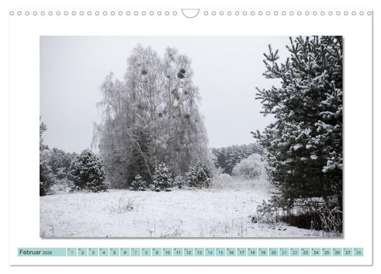 Produktbild: Augenblicke im M&uuml;ritz Nationalpark (Wandkalender 2026 DIN A3 quer), CALVENDO Monatskalender