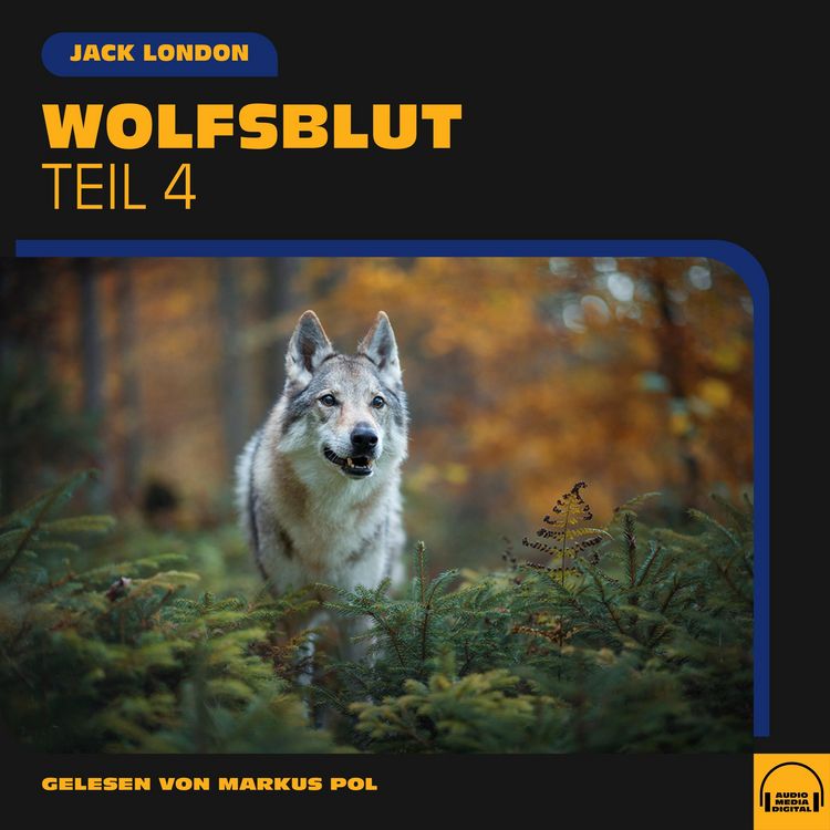 Produktbild: Wolfsblut (Teil 4)