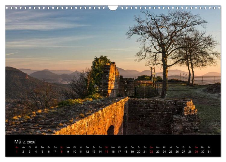 Produktbild: Mystischer Pf&auml;lzer Wald (Wandkalender 2026 DIN A3 quer), CALVENDO Monatskalender