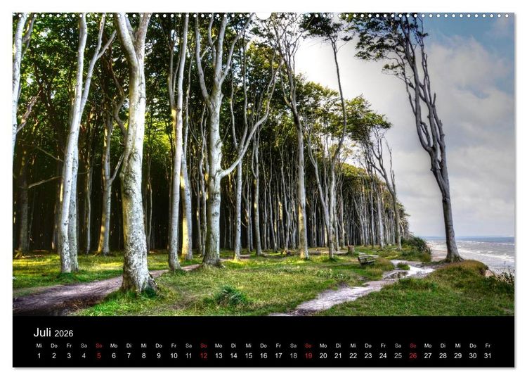 Produktbild: Baum-Variationen (Wandkalender 2026 DIN A2 quer), CALVENDO Monatskalender
