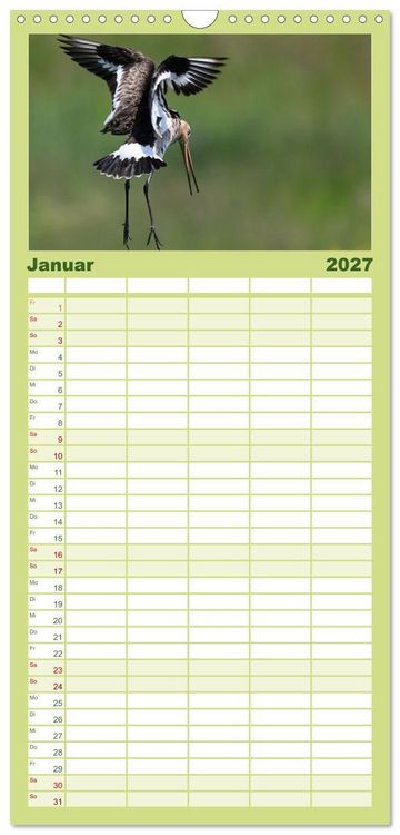 Produktbild: Familienplaner 2027 - Die bedrohten Uferschnepfen mit 5 Spalten (Wandkalender, 21 x 45 cm) CALVENDO