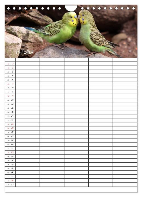 Produktbild: Wellensittiche (Wandkalender 2027 DIN A4 hoch), CALVENDO Monatskalender