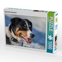 Produktbild: CALVENDO Puzzle Appenzeller Sennenhund 1000 Teile Lege-Gr&ouml;&szlig;e 64 x 48 cm Foto-Puzzle Bild von SchnelleWelten