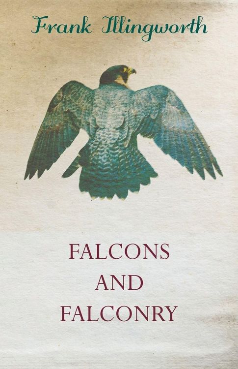 Produktbild: Falcons and Falconry