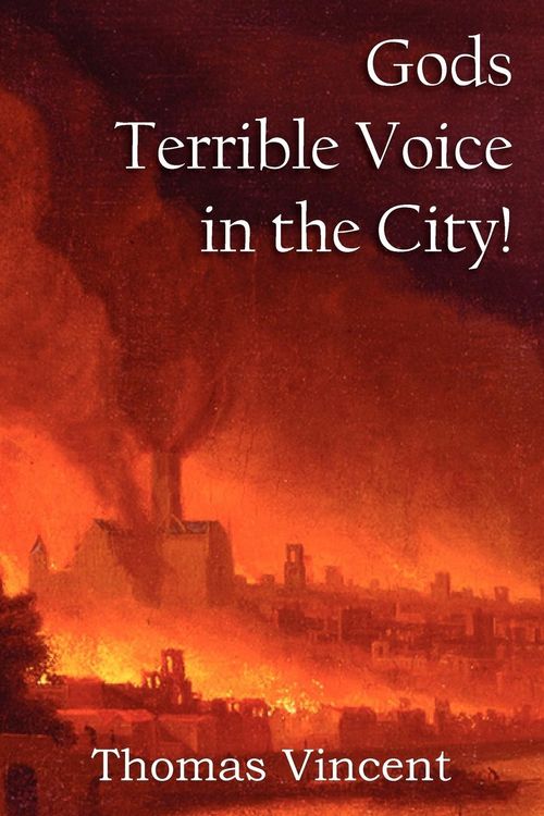 Produktbild: Gods Terrible Voice in the City!