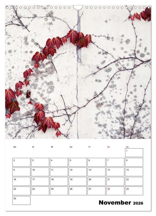 Produktbild: Mauerbl&uuml;mchen - Poesie im Allt&auml;glichen als Monatsplaner (Wandkalender 2026 DIN A3 hoch), CALVENDO Monatskalender