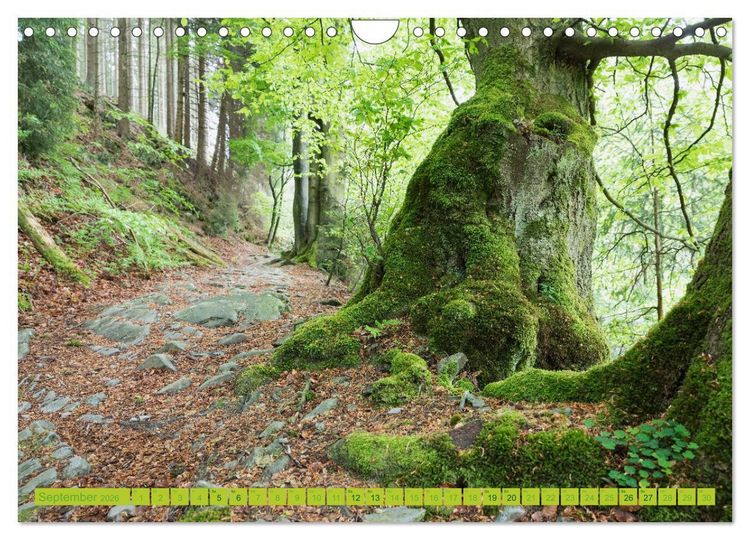 Produktbild: Eifel Sehnsucht (Wandkalender 2026 DIN A4 quer), CALVENDO Monatskalender