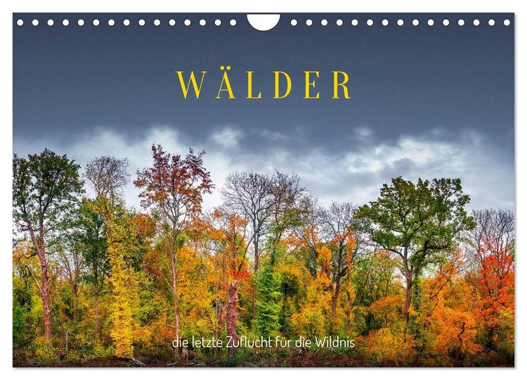 Produktbild: W&auml;lder: die letzte Zuflucht f&uuml;r die Wildnis (Wandkalender 2026 DIN A4 quer), CALVENDO Monatskalender
