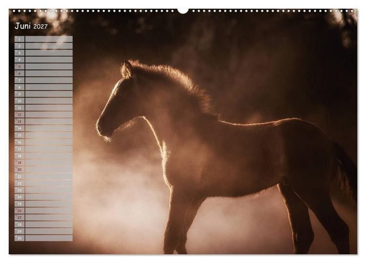 Produktbild: Pferde - Spiegel deiner Seele (Wandkalender 2027 DIN A2 quer), CALVENDO Monatskalender