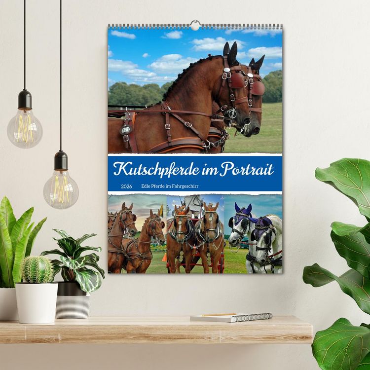 Produktbild: Kutschpferde im Portait (Wandkalender 2026 DIN A2 hoch), CALVENDO Monatskalender