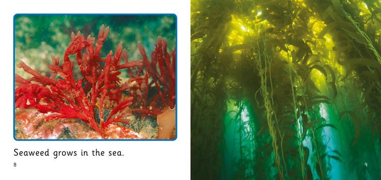 Produktbild: In the Sea