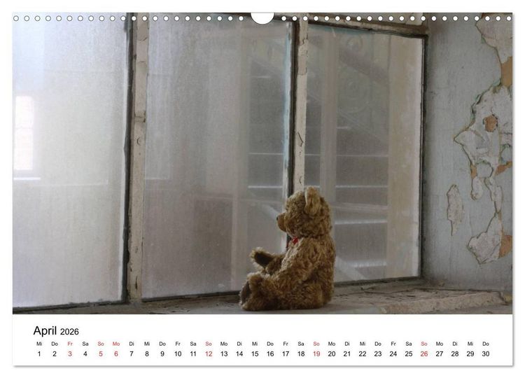 Produktbild: Teddys...jeder liebt sie (Wandkalender 2026 DIN A3 quer), CALVENDO Monatskalender