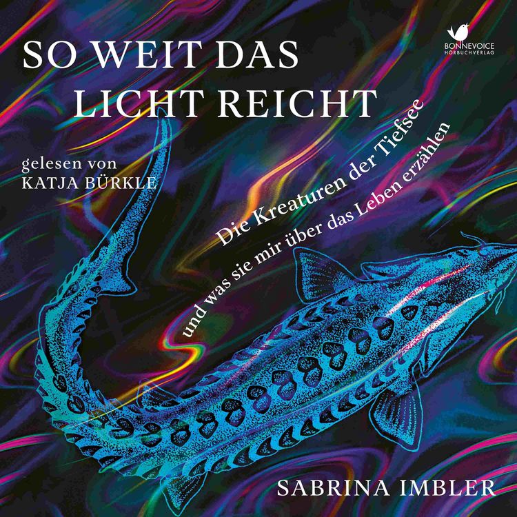 Produktbild: So weit das Licht reicht
