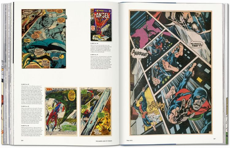 Produktbild: L'&egrave;re des comics Marvel 1961-1978