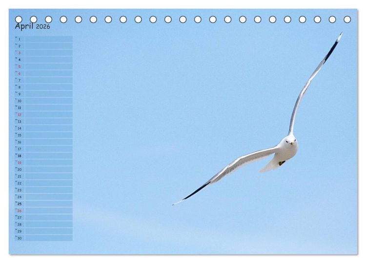 Produktbild: Rund um K&uuml;hlungsborn (Tischkalender 2026 DIN A5 quer), CALVENDO Monatskalender