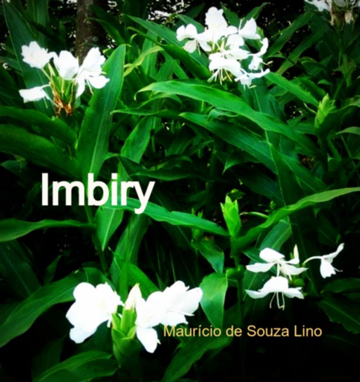 Produktbild: Imbiry