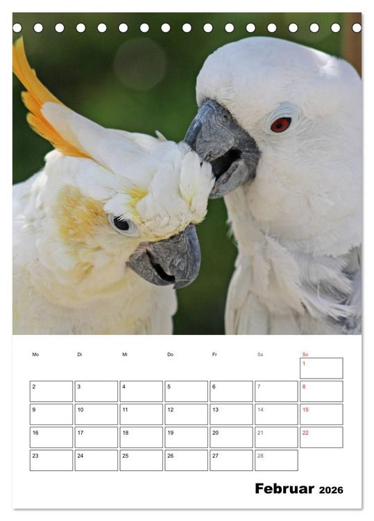 Produktbild: Papageien - Graupapagei, Rosella und Co. (Tischkalender 2026 DIN A5 hoch), CALVENDO Monatskalender