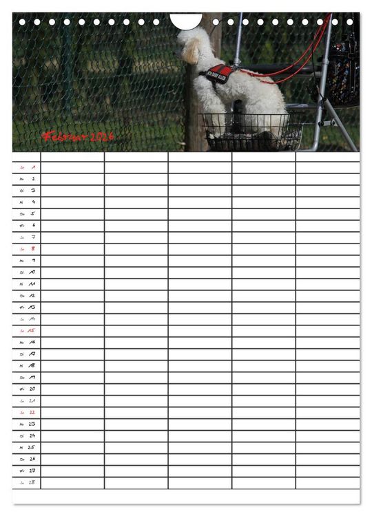 Produktbild: Der Pudel-Familienplaner (Wandkalender 2026 DIN A4 hoch), CALVENDO Monatskalender