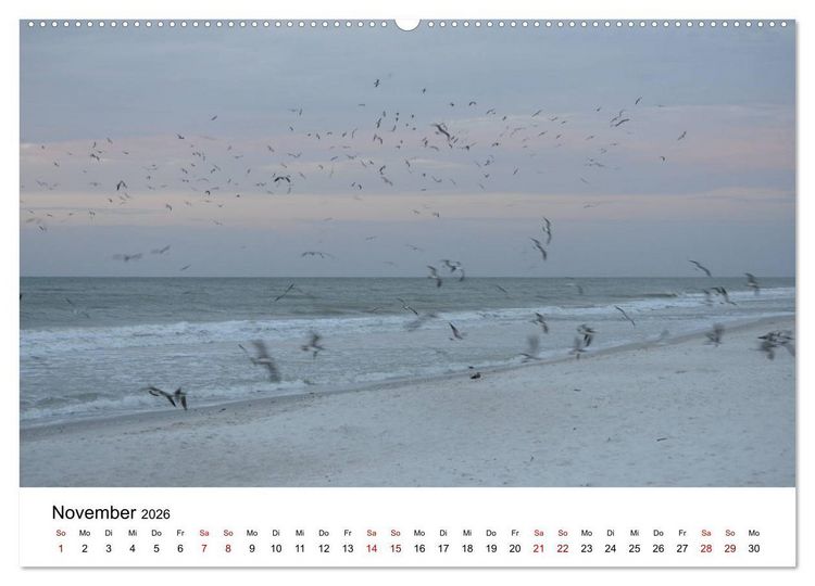 Produktbild: M&ouml;wen am Meer (hochwertiger Premium Wandkalender 2026 DIN A2 quer), Kunstdruck in Hochglanz