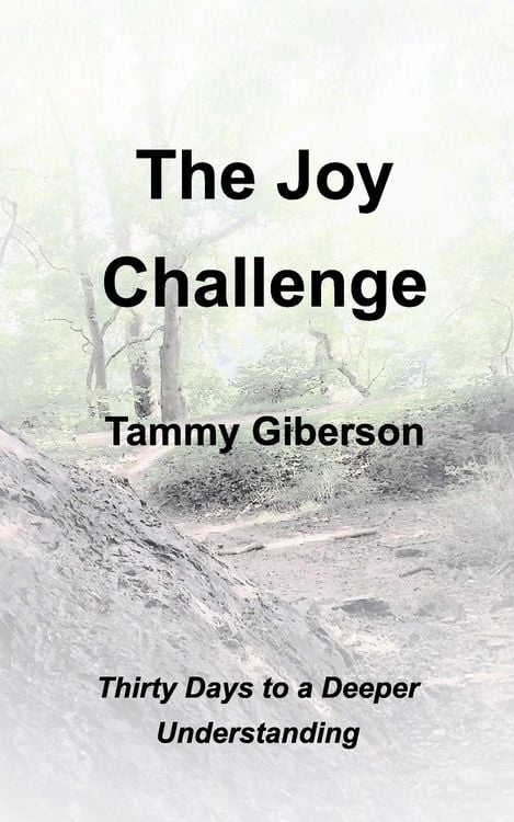 Produktbild: The Joy Challenge