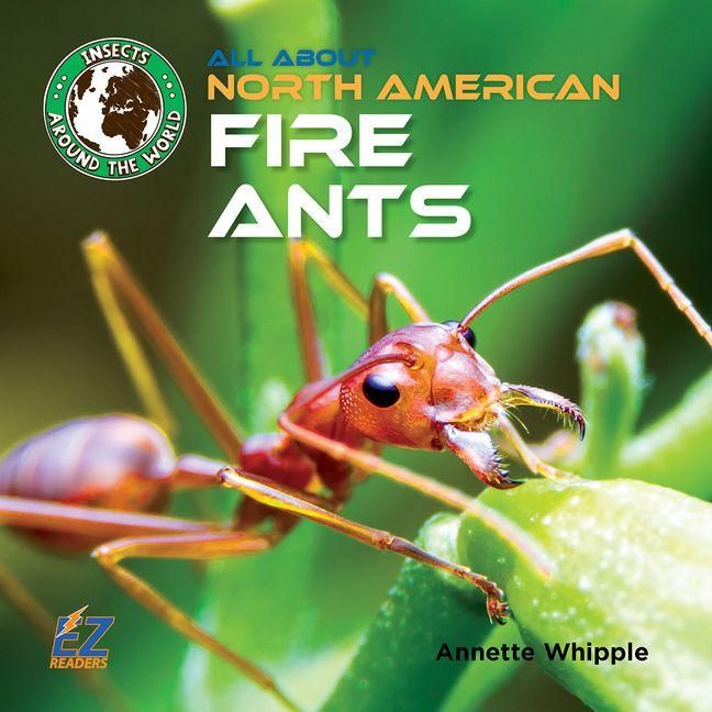 Produktbild: All about North American Fire Ants