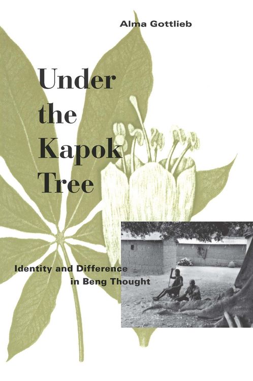 Produktbild: Under the Kapok Tree