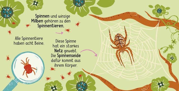 Produktbild: 50 W&ouml;rter &uuml;ber die Natur - Insekten