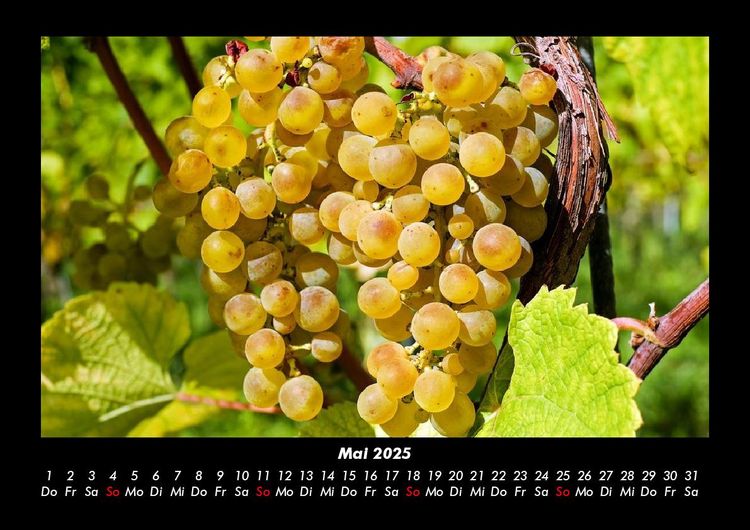 Produktbild: Obstkalender 2025 Fotokalender DIN A3