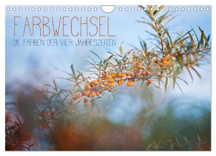 Produktbild: Farbwechsel - Die Farben der vier Jahreszeiten (Wandkalender 2026 DIN A4 quer), CALVENDO Monatskalender