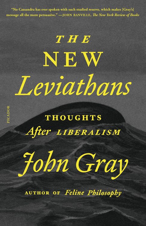 Produktbild: The New Leviathans