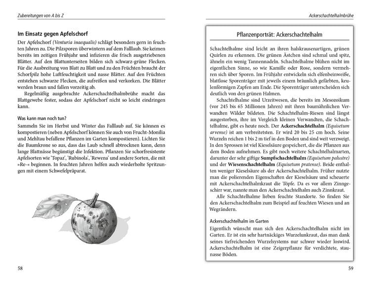 Produktbild: Beinwelljauche, Knoblauchtee & Co.