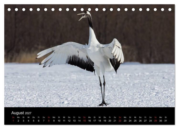 Produktbild: Mandschurenkraniche (Tischkalender 2027 DIN A5 quer), CALVENDO Monatskalender