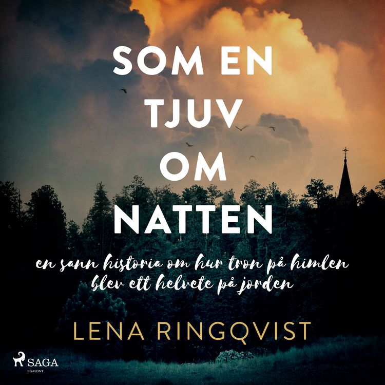 Produktbild: Som en tjuv om natten