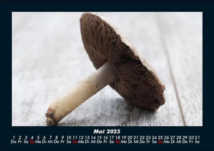 Produktbild: Pilzkalender 2025 Fotokalender DIN A5