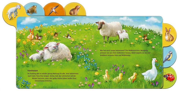 Produktbild: Was machen die Tiere im Fr&uuml;hling?