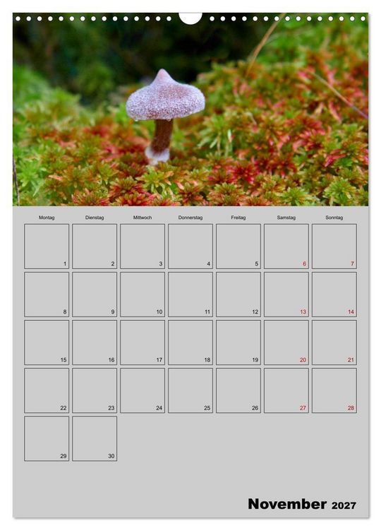 Produktbild: Quer durch die Pilze (Wandkalender 2027 DIN A3 hoch), CALVENDO Monatskalender